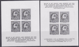 Belgie Montenez Zwart/wit Velletjes (2)  Ned/Fr Ongebruikt (34675) - B&W Sheetlets, Courtesu Of The Post  [ZN & GC]