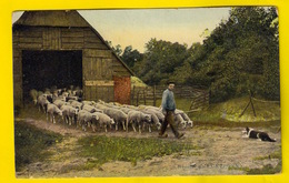 GROETEN UIT LUNTEREN Ede SCHAAP HERDER Schaapheder BERGER MOUTON SHEEP SHEPHERD PASTOR Paysan Landbouwer Boer 3388 - Ede