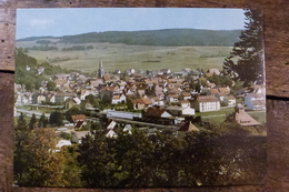 ALLEMAGNE, MUNSINGEN, VUE GENERALE - Muensingen