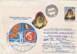 54864- TEODOR NEGOITA, FIRST ROMANIAN AT NORTH POLE, ARCTIC EXPEDITION, COVER STATIONERY, 1996, ROMANIA - Spedizioni Artiche