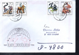 DDR   Lettre Singes Gorilles - Gorillas