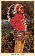 THEME AMERINDIENS / Chief In Tribal Regalia - America