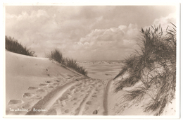 Terschelling - Bosplaat - 1951 - Terschelling