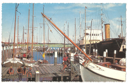 Terschelling - Haven - 1964 - Terschelling