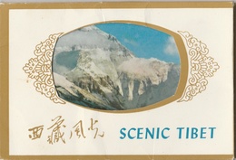 Pochette De 11 CPM Scenic Tibet - Tibet