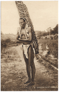 Carrying Palm Kernels - Sierra Leone Native With Palm Kernels On Back - Raphael Tuck - Unused - Sierra Leone