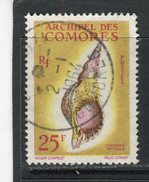 COMORES - Y&T N° 24° - Coquillage - Charonia Tritonis - Used Stamps