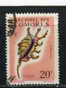 COMORES - Y&T N° 23° - Coquillage - Pterocera Scorpio - Gebraucht