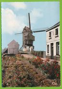 HONDSCHOTTE - Le Moulin Photo Véritable Colorisée - Hondshoote