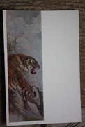 NORTH KOREA Art Postcard PHAECK UHN "Tiger"  - Old PC 1955 - Korea, North