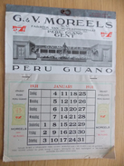 Kalender Calendrier 1931 - Pub Reclame Peru Guano Moreels Gent - Merk De Ploeg - Formato Grande : 1921-40