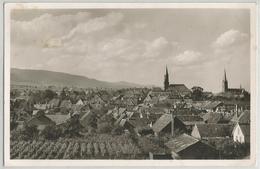 Edenkoben Die Weinfrohe Stadt Circulee En 1953 - Edenkoben