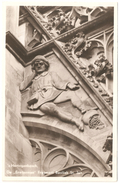 's Hertogenbosch - De Erwtenman - Fragment Basiliek St. Jan - Uitgave Fotina - Echte Fotografie - Nieuwstaat - 's-Hertogenbosch