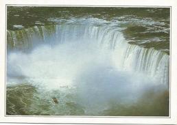 T2101 Canada - Le Cascate Del Niagara - Cartolina Con Legenda Descrittiva / Non Viaggiata - America