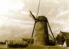 WIEKEVORST (Antw.) - Molen/moulin/mill - De Verdwenen Stenen Molen In 1953. Gelimiteerde Oplage: 300 Stuks. TOP! - Heist-op-den-Berg