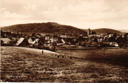 Hildburghausen, Gesamtansicht, 1929 Nach Kassel Versandt - Hildburghausen