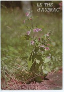 Le Thé D'Aubrac (la Flore Des Monts) CALAMENT à Grandes Fleurs (n°1104 Bos Vierge) - Heilpflanzen