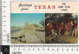 USA) TEXAS EL PASO- Ingresso Nel Texas  - 1970 Viaggiata - El Paso