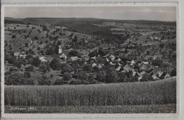 Oltingen Totalansicht - Photo: J. Gaberell No. 18208 - Sonstige & Ohne Zuordnung