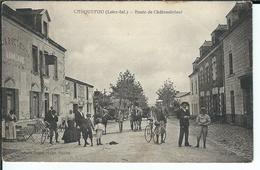 44 - CARQUEFOU - Belle Vue Animée De La Route De Châteaubriant - Carquefou