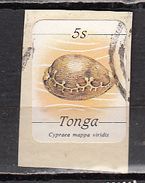 TONGA °  YT N° 560 - Tonga (1970-...)