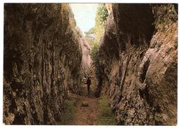 CUENCA, Espana : El Tobogan , Animée ; 1966  TB - Cuenca