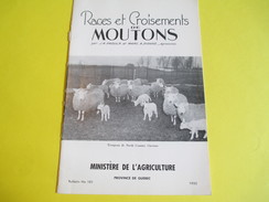 Fascicule/Agriculture/Elevage/Races Et Croisement De Moutons/Ministère  De L'Agriculture/Québec/1955   LIV90 - Unclassified