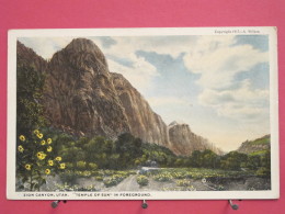 Etats-Unis - Utah - Zion Canyon - Temple Of Sun In Foreground - Scans Recto-verso - Zion