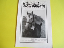 Fascicule/Agriculture/Elevage/Cheval/La Jument Et Son Poulain/Ministére De L'Agriculture Du Québec /1940   LIV95 - Non Classés