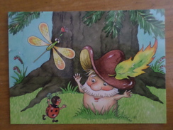 MUSHROOM GRANNY  By Otto-Fradina - Champignon - Dragonfly - Modern Belorussian  Postcard, 2015 - ACARDS  Edition - Paddestoelen