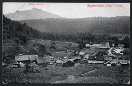 9880 - Alte Ansichtskarte - Regenhütte - N. Gel - Löffler - Regen