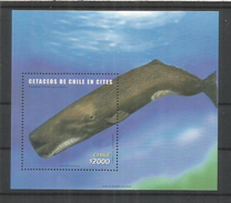 CHILE HOJITA CETACEOS BALLENA WHALE CITES - Faune Antarctique