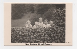 LUXEMBOURG - Nos Enfants Grand-Ducaux - Grand-Ducal Family