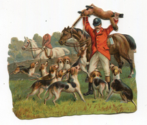 Chasse Découpi - Tiere