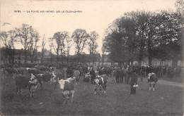 Sens    89        Foire Aux Vaches Sur Le Clos Le Roi                 (voir Scan) - Sens