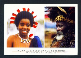 SWAZILAND  -  Incwala And Reed Dance Ceremony  Dual View  Used Postcard As Scans - Swasiland