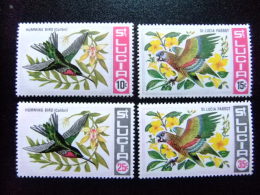 SAINTE-LUCIA ST LUCIA 1968 Oiseaux Divers Yvert Nº 239 / 42 ** MNH - St.Lucia (...-1978)