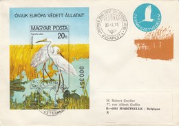 Hongrie - Lettre/Oiseaux Divers, Année 1980, Bloc Feuillet Non Dentelé N°150 - Lettres & Documents