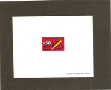 Réunion - Epreuve De Luxe Poste N° 410 Et 411 Code Postal - Altri & Non Classificati