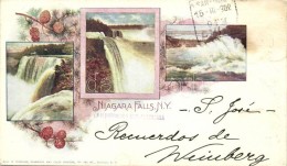 * T2/T3 Niagara Falls, Pinecone, Art Nouveau - Non Classificati