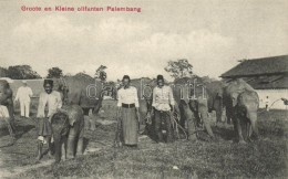 ** T1/T2 Palembang, Groote En Kleine Olifanten / Elephants, Indonesian Folklore - Unclassified