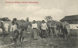 ** T1/T2 Palembang, Groote En Kleine Olifanten / Elephants, Indonesian Folklore - Ohne Zuordnung