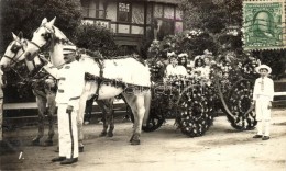 T2 Pasadena, California; Horse Cart, Photo - Non Classés