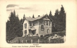 * T2 Szebenjuharos, Hohe Rinne, Paltinis; Kurhaus 'Tannhof' Auf Der Hohen Rinne / Gyógyház A Hegyen /... - Unclassified