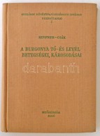 Dr. Hifner Kálmán, Csák Zoltán: A Burgonya TÅ‘-, és... - Non Classificati