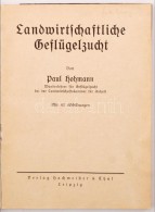 2 Szárnyasokkal Kapcsolatos Könyv / 2 Books About Poultry: Landwirtschaftliche Geflügelzucht +... - Non Classés