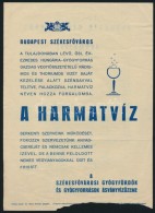 Cca 1930 Hungária Gyógyforrás - Harmatvíz, Kétoldalas Szórólap - Unclassified