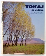 Szelényi Károly: Tokaj és Vidéke. Táj Változó Fényben.... - Unclassified