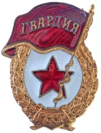 Szovjetunió ~1960-1970. 'Szovjet Gárda Jelvény' Aranyozott, Zománcozott Fém... - Unclassified