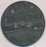 1960. '75 éves Az István Kórház 1885-1960' Fém Plakett, Hátoldalán... - Unclassified